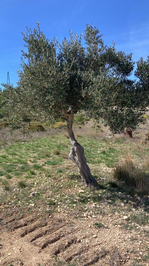 Le Relais De Tamaroque Hotel Portel-des-Corbieres Kültér fotó
